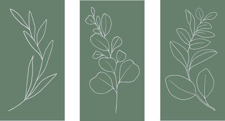 Fototapeta na wymiar Vector Eucaliptus set on green background. White Eucaliptus sprig lineart