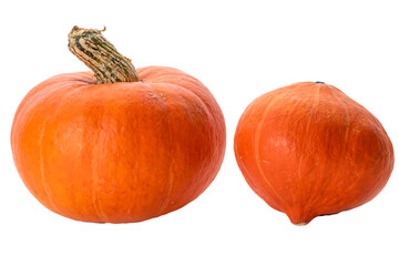 PNG, Two round pumpkins