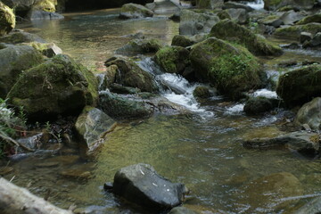 Naklejka na ściany i meble water flows in a rocky river