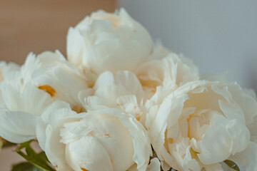 stunning bouquet of beautiful white peonies, wedding bouquet, wedding backdrop, flower backdrop, quote backdrop, glamor bouquet