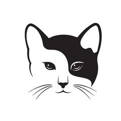 face cat