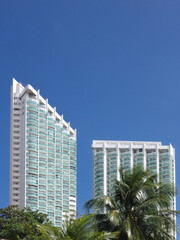 Deux immeubles avec des palmiers au premier plan
