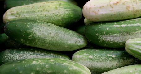 Cucumbers vegetable close-up at grocery store display