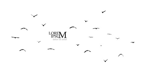 A flock of flying birds. Free birds. Vector illustration