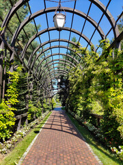 Decorative wooden arch tunnel in the city park. Wooden arch. Entrance to the city park. Sights of the city