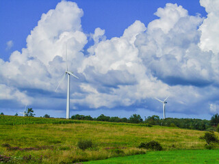 Wind Farm on a Beautiful Summer Day, Western New York State USA, New York