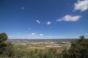 Panoramic of cultivated fields of vines and mountains