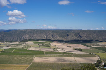 Panoramic of cultivated fields of vines and mountains