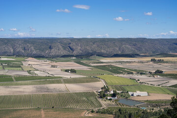 Fototapeta na wymiar Panoramic of cultivated fields of vines and mountains