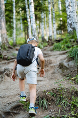 Summer holidays in the forest, the boy climbs the mountain view from behind, the child in shorts walks in the forest, children's tourism in the mountains, a black backpack on his back.