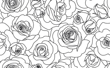 Abstract seamless pattern with roses. Beautiful blossoming hand drawn flower with bud on white background. Line art for wedding design. Vector stock illustration - 530672551