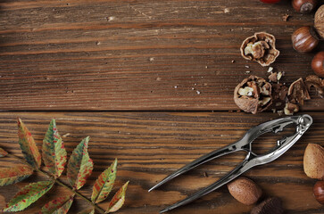 autumn background with nuts on wooden table. colorful leaves