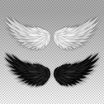 Two realistic wings isolated on transparent background. 3D white angel wings and dark devil, daemon wings. Heaven and hell, good and evil concept. Festival, masquerade, carnival costume. 