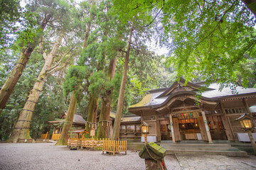 宮崎県　 高千穂神社の風景
