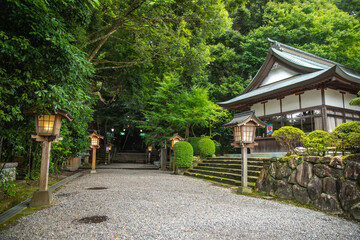 宮崎県　 高千穂神社の風景
