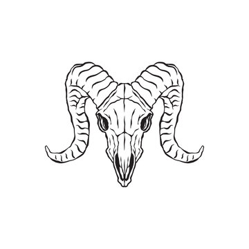 Goat head skull logo vector.