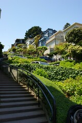 Obraz premium Lombard Street Sky Plant Daytime Property Building