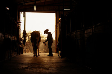 Horse Trainer with Paint Horse