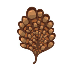 autumn plant nature