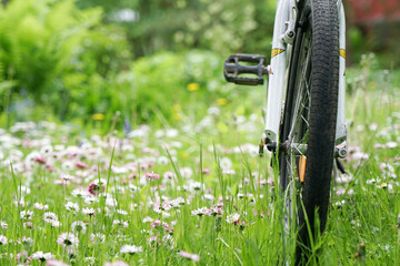 Bicycle in the field with daisies. Summer concept