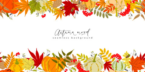 Falling autumn leaves, berries, seeds, cone and acorns seamless border pattern with copy space. Vector illustration. Background for headers, cards, covers, wallpapers, promo materials.