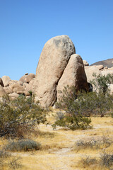  Joshua Tree - Nationalpark (USA / Kalifornien)