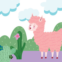 Fototapeta premium sweet llama with cactus