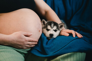 pregnancy woman with a puppy