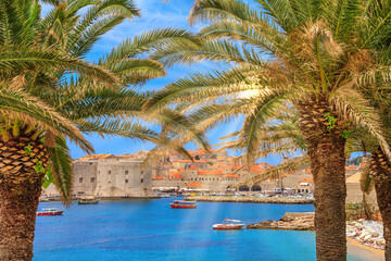 Coastal summer landscape - view of the palm trees on the background of the City Harbour of the Old Town of Dubrovnik on the Adriatic coast of Croatia