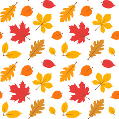 Fototapeta premium Autumn seamless pattern with yellow and red leaves on white background. Vector illustration. Design for wrapping paper, wallpaper, fabric, textile, scrapbooking, cover, autumn greeting card.