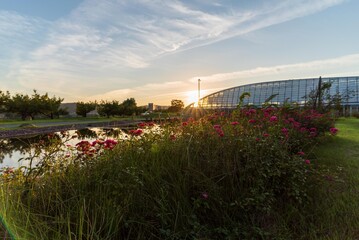 Fototapeta premium サンセット