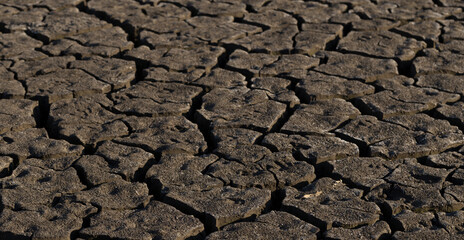 Earth cracked because of drought. The global shortage of water on the planet. Global warming concept. Dry cracks in the land.