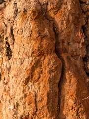 Sedimentary rocks with a high content of iron oxide. Red soil, loam. The texture of the soil.