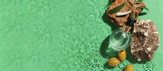Bottle of essential olive oil in water on green background