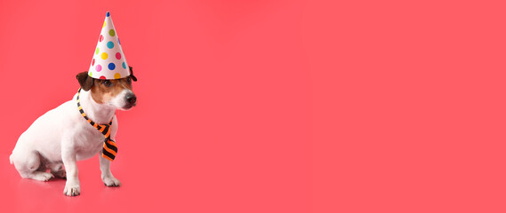 Cute dog in birthday hat on red background with space for text