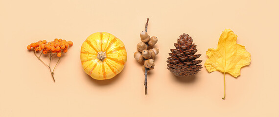 Natural forest decor on beige background, top view