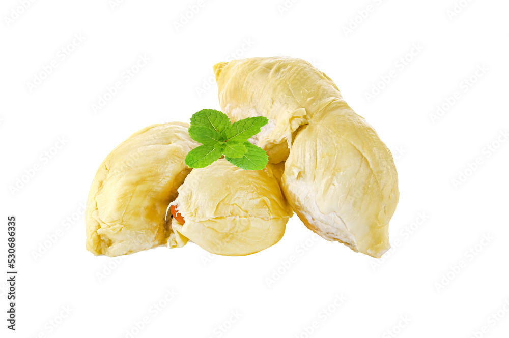 Sticker King of fruits, durian isolated on white background