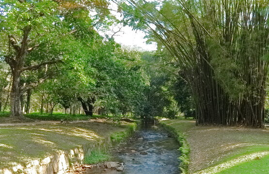 correto