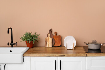Cutting board, aloe vera in pot and plates on counter near beige wall