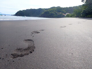 Costa Rica Pacific sea life