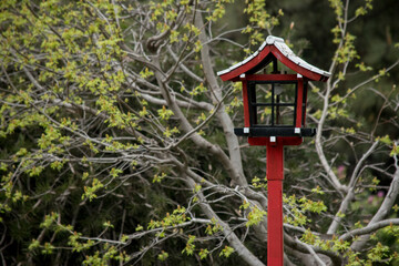 faroles tradicionales en el jardín japonés