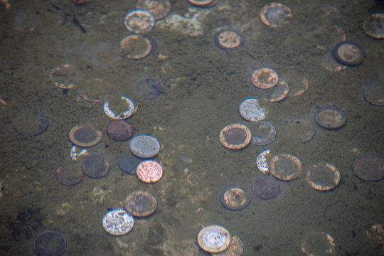 monedas en el fondo del estanque