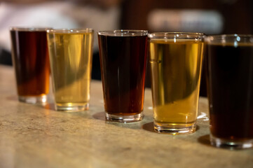 Tasting of different sweet wines from wooden barrels on old bodega in central part of Malaga, Andalusia, Spain