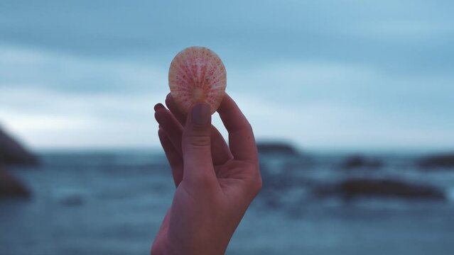 Woman hand hold seashell with water waves on calm beach vacation holiday travel destination in nature outdoor. Girl tourist with sea shell relax on island ocean with cloudy blue sky weather