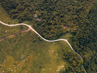 Top down aerial drone view of the road in mountain range trough the trees and forest wild travel rural vacation and nature concept background