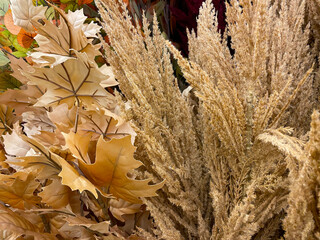 floral abstract background fuzzy white fall colors