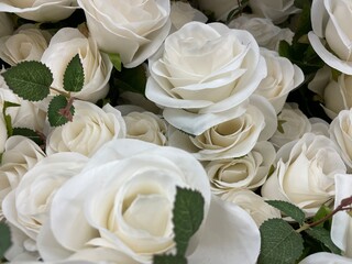 floral abstract background group of white roses