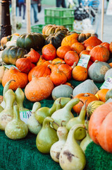 Various winter squash and gourd sorts such as Hokkaido pumpkin, Butternut squash, Blue Hubbard Squash and Bottle Gourd or Calabash, fall season at famous Viktualienmarkt, a farmers market in Munich - 530693506