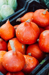 Ripe, bright orange Hokkaido pumpkins also called Red kuri squash for soup during autumn season at famous Viktualienmarkt, a farmers market in Munich, Germany. - 530693517