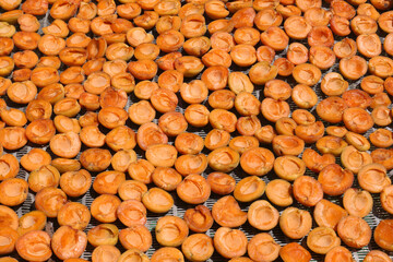 Many halved apricots on metal drying rack